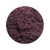 Acai Poeder gevriesdroogd Biologisch