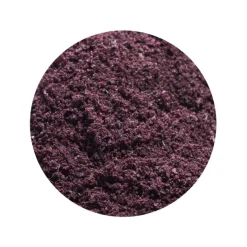 Acai Poeder gevriesdroogd Biologisch