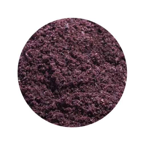 Acai Poeder gevriesdroogd Biologisch