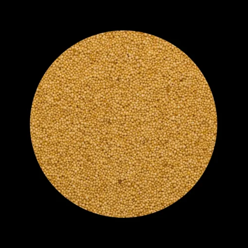 Amaranth Zaden heel Biologisch
