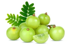 Amla Poeder Biologisch