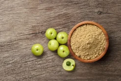 Amla Poeder Biologisch