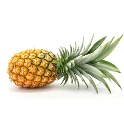 Ananas Granulaat 3-5 mm Biologisch