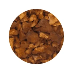 Appelblokjes Biologisch