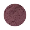 Aronia Bessen Pulp Poeder Biologisch