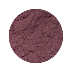Aronia Bessen Pulp Poeder Biologisch