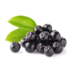 Aronia Bessen Pulp Poeder Biologisch