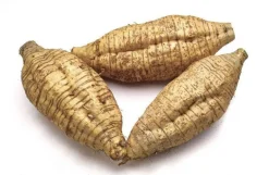 Arrowroot Poeder Biologisch