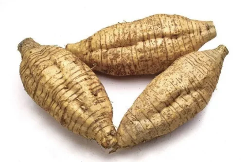 Arrowroot Poeder Biologisch