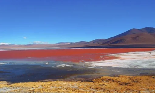 Boliviaans Rozenzout Fijn 0.1-0.3 mm