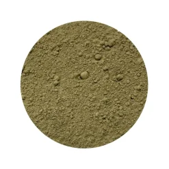 Brahmi Poeder Biologisch