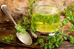 Brahmi Poeder Biologisch