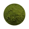 Broccoli Poeder Biologisch