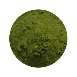 Broccoli Poeder Biologisch