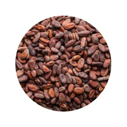 Cacaobonen Raw Biologisch