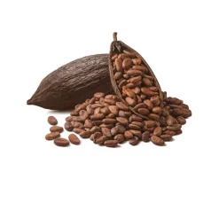 Cacaobonen Raw Biologisch