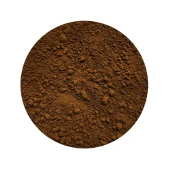 Chaga Paddenstoelen Poeder Biologisch