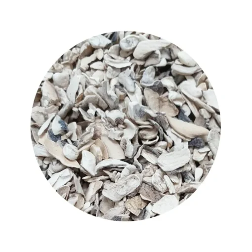 Champignon Granulaat 3-6 mm Biologisch