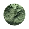Chlorella Poeder Biologisch