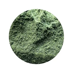 Chlorella Poeder Biologisch