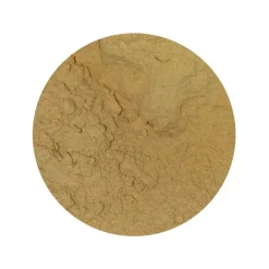 Cordyceps Sinensis Extract 30% Biologisch