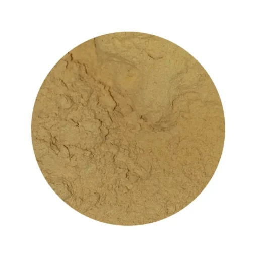 Cordyceps Sinensis Extract 30% Biologisch