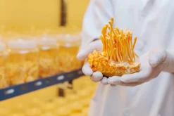 Cordyceps Sinensis Extract 30% Biologisch