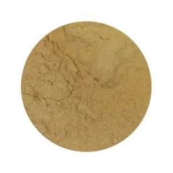 Cordyceps Sinensis Paddenstoel Poeder Biologisch