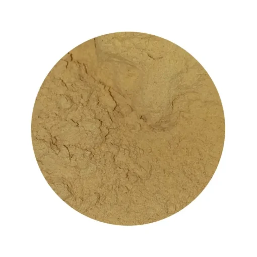 Cordyceps Sinensis Paddenstoel Poeder Biologisch