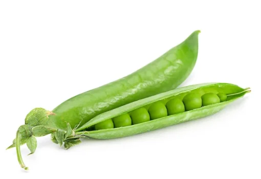 Eiwit Blend (Hennep - Erwt - Rijst) Biologisch (75% Proteïne)