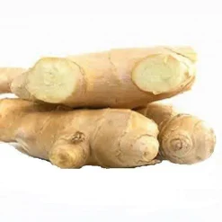 Gember Poeder kiemarm Biologisch