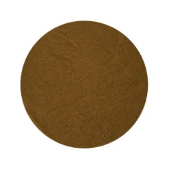 Gingko Biloba (blad) Poeder Biologisch