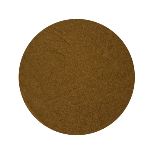 Gingko Biloba (blad) Poeder Biologisch