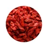 Gojibessen Biologisch