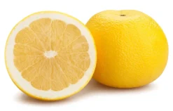 Grapefruit Sap Concentraat Poeder Biologisch