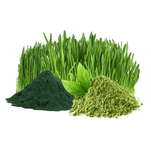 Green Blend Poeder Biologisch