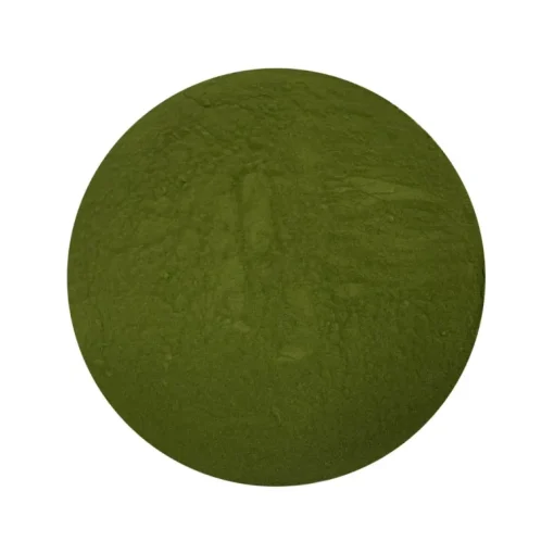 5-Greens Sap Concentraat Poeder Biologisch