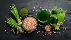 5-Greens Sap Concentraat Poeder Biologisch
