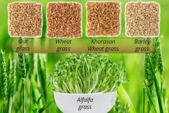 5-Greens Sap Concentraat Poeder Biologisch