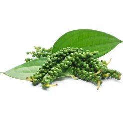 Groene Peper Heel Biologisch