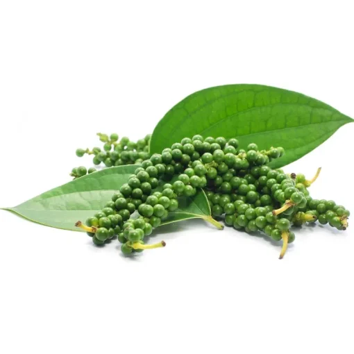 Groene Peper Heel Biologisch