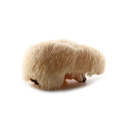 Hericium (Pruikzwam) Granulaat 4-6 mm Biologisch