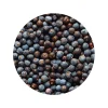 Jeneverbessen Heel kiemarm Biologisch
