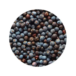Jeneverbessen Heel kiemarm Biologisch
