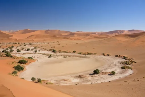 Kalahari Woestijnzout Fijn 0.1-0.7 mm