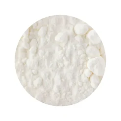 Kokosnoot Melk Poeder Biologisch