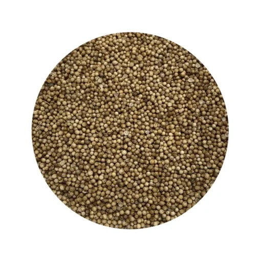 Koriander Heel kiemarm Biologisch