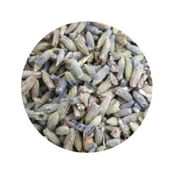 Lavendelbloesem Biologisch