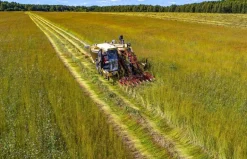 Lijnzaad gemalen Biologisch