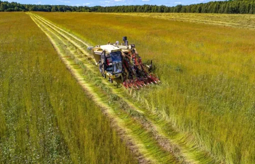 Lijnzaad gemalen Biologisch
